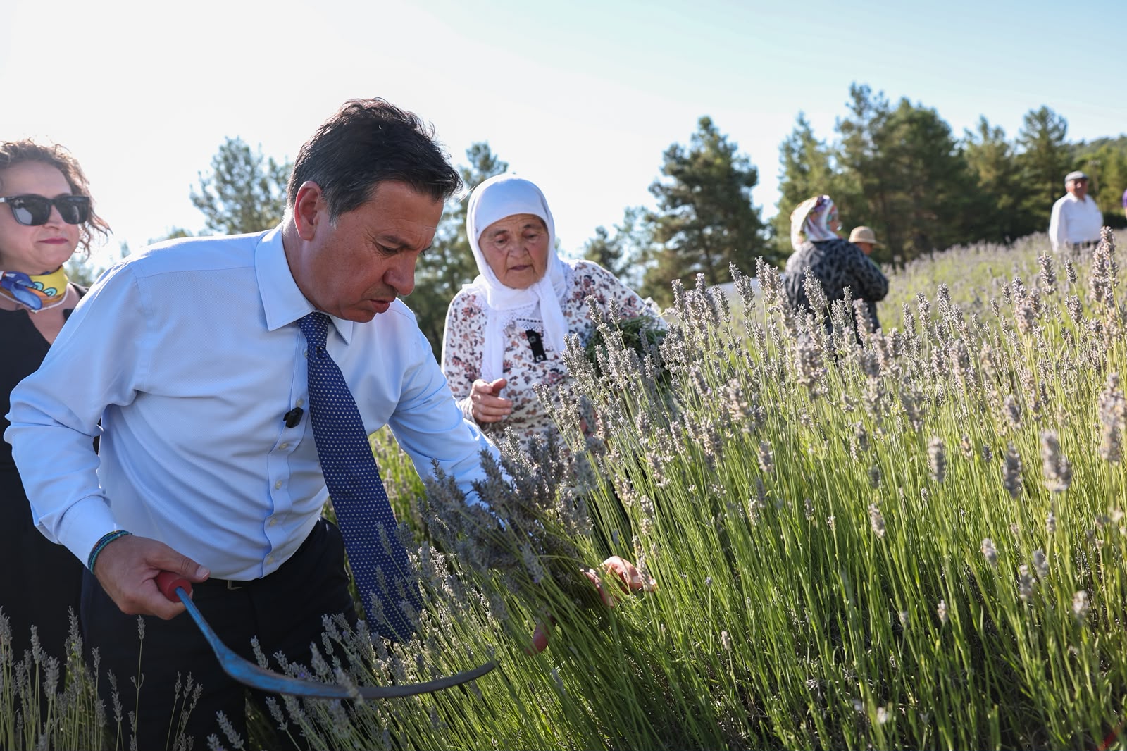 Koku Vadisi’nde Lavanta Hasadı Şenlikle Başladı Üretimin Bereketi Koku Vadisi’nden Yükseldi